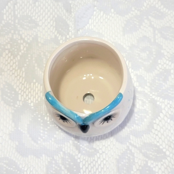 Mini Ceramic Pot Premium Glazed Cute Blue Owl Face Succulent Plant Holder - Picture 9 of 16